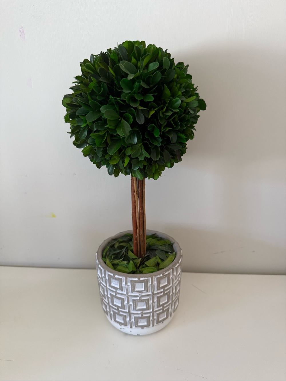 Decorative Green Boxwood Topiary with Patterned Ceramic Pot - Picture 3 of 3